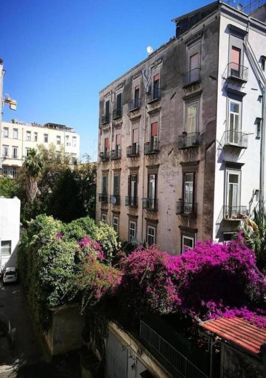 Domus Luigi Leone 2 Acomodação com café da manhã Nápoles Exterior foto